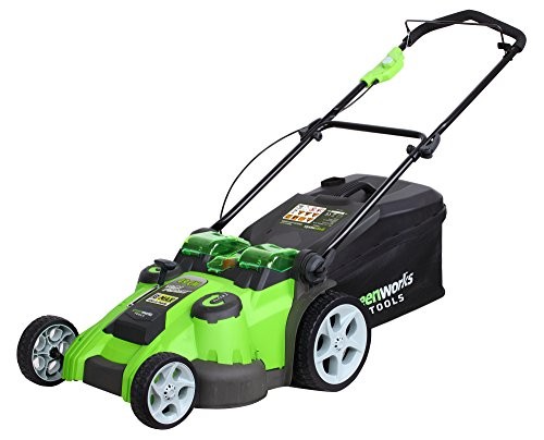 Greenworks 2500207